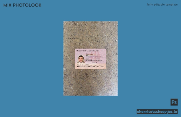 Germany protokollausweis fur diplomaten photolook sample preview